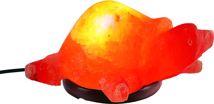 Turtle Shapes Lamp